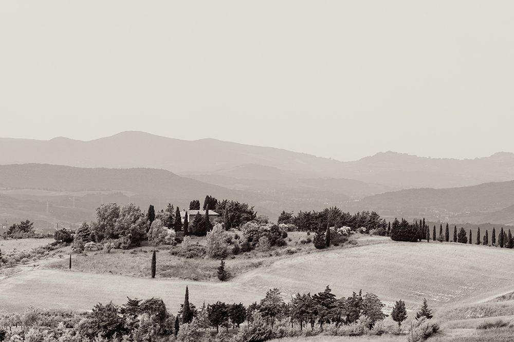 Tuscan Hills II
