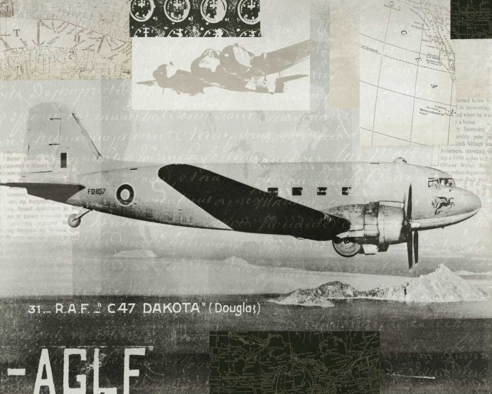 Wings Collage IV