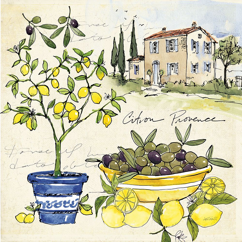 Citron IV