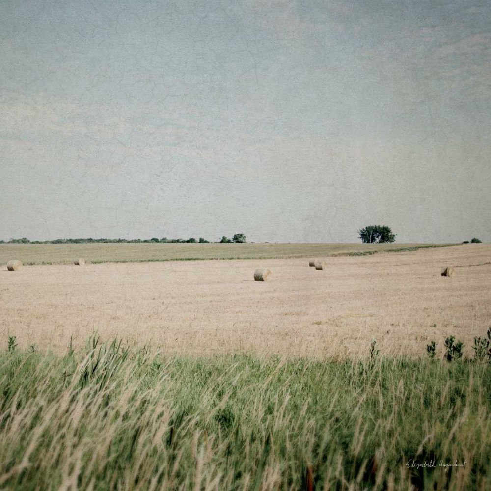 Neutral Country II Crop