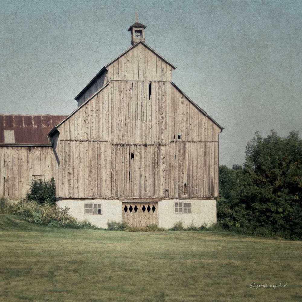 Neutral Country IV Crop