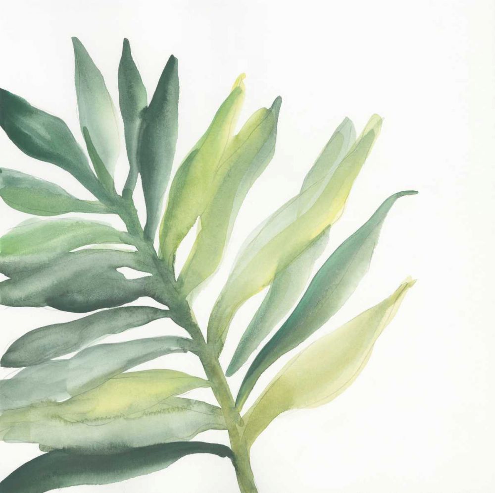 Tropical Palm III