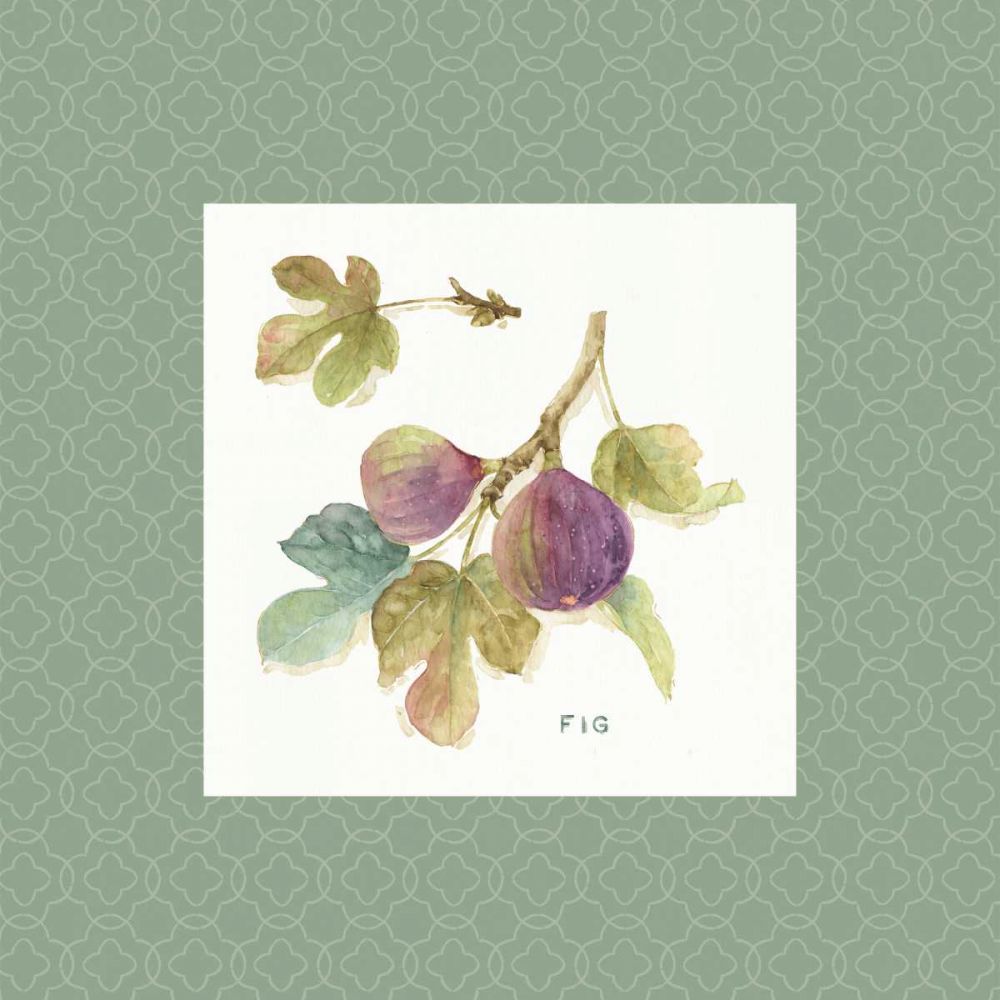 Orchard Bloom III Border