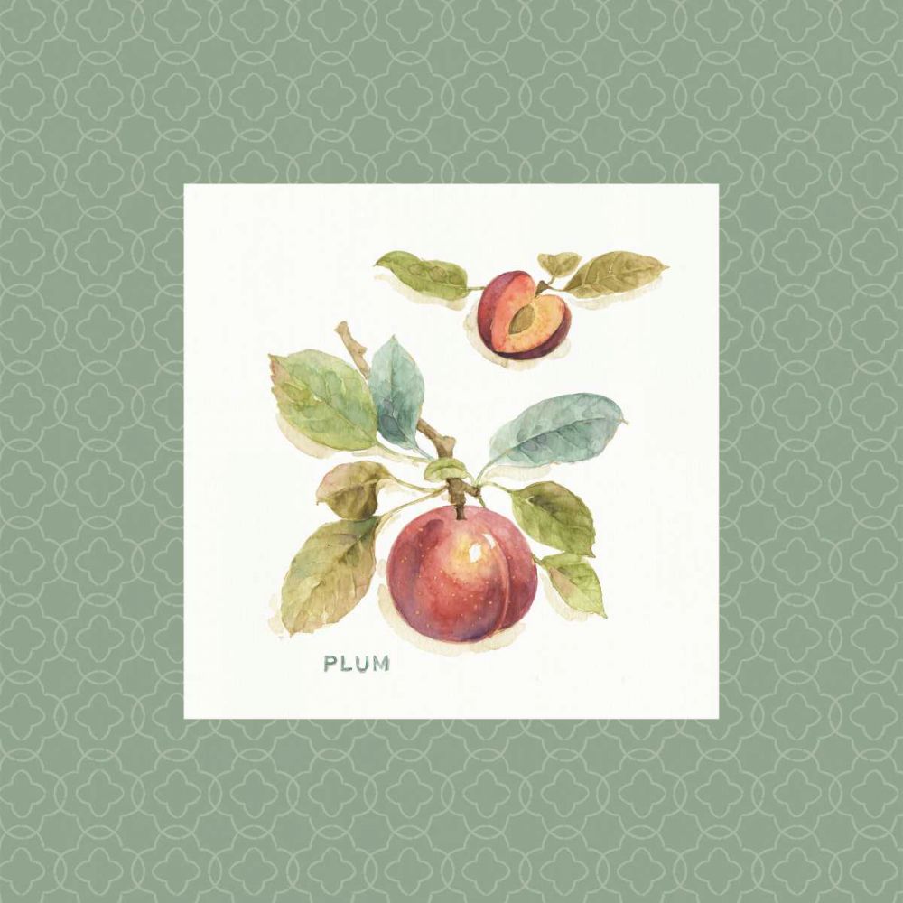 Orchard Bloom IV Border