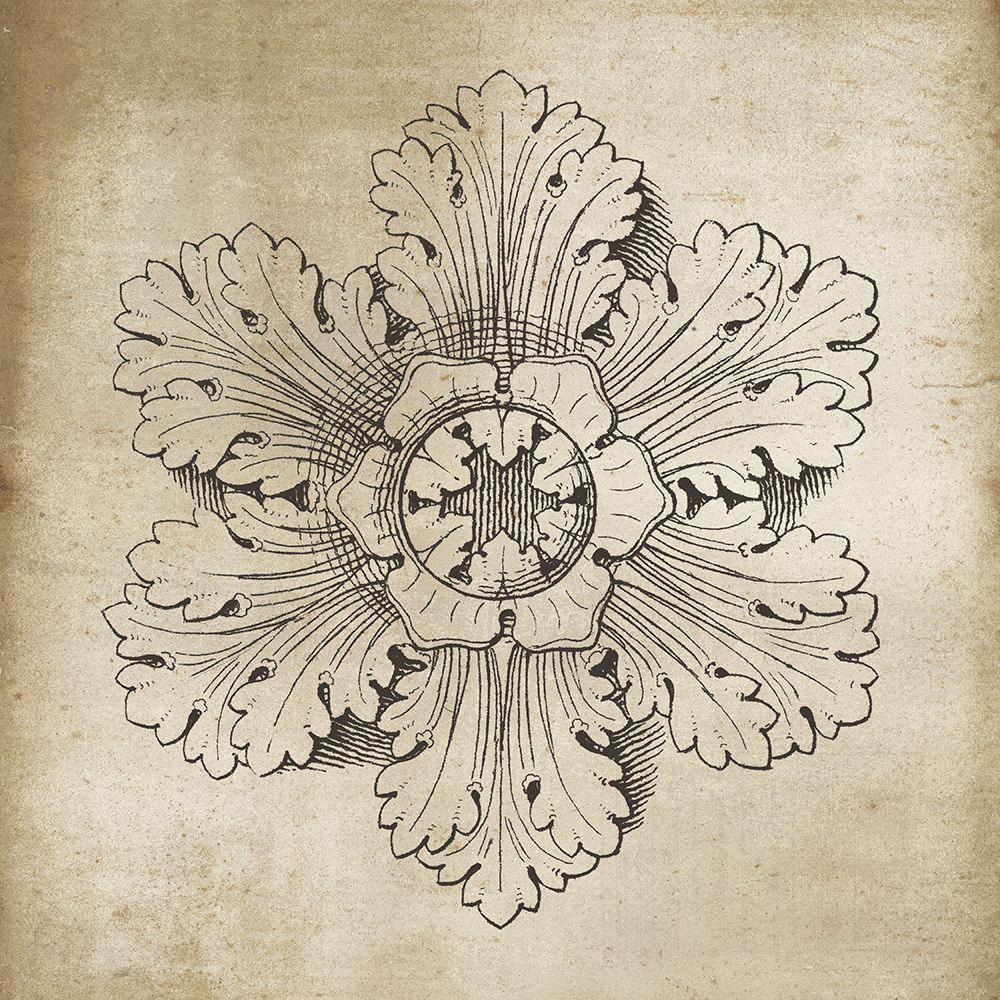 Rosette V Neutral