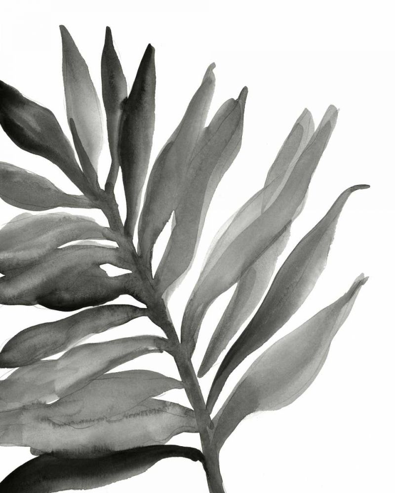 Tropical Palm III BW