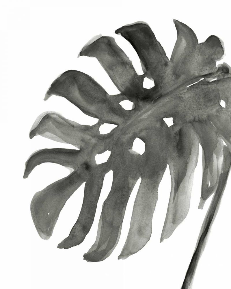 Tropical Palm IV BW