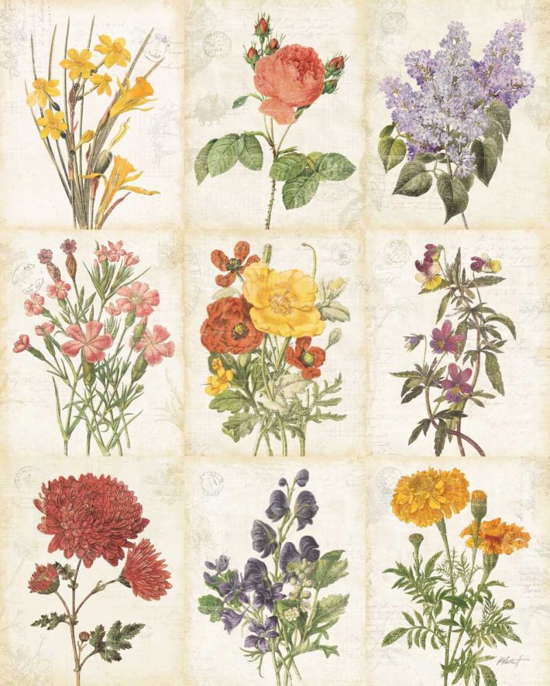 Flowers of the Month 9 Patch