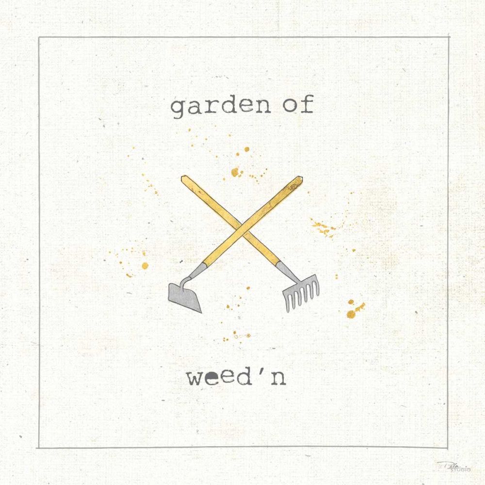 Garden Notes VIII