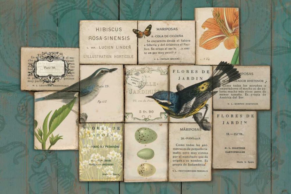 Birds of the Garden