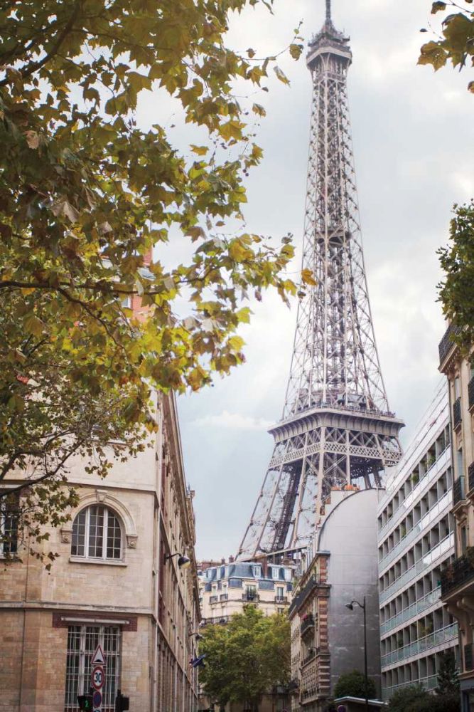 Eiffel View II