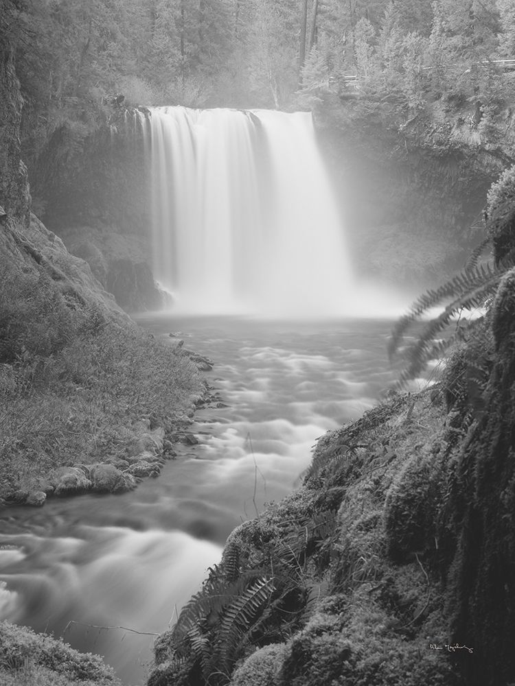Koosah Falls