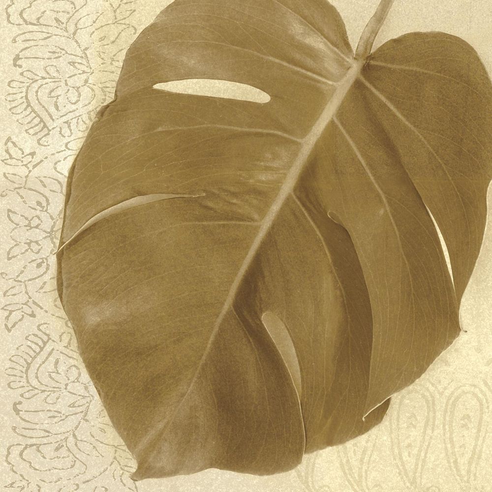 Ornate Monstera Leaf