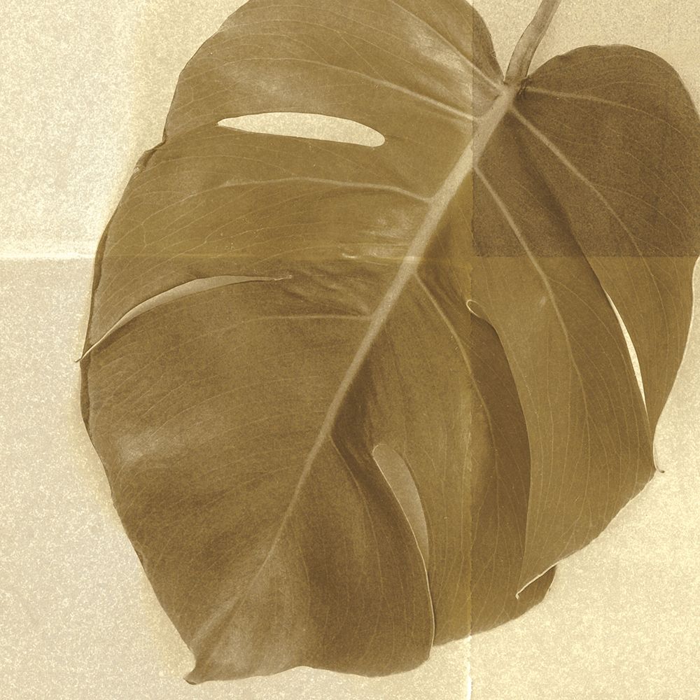 Monstera Leaf I