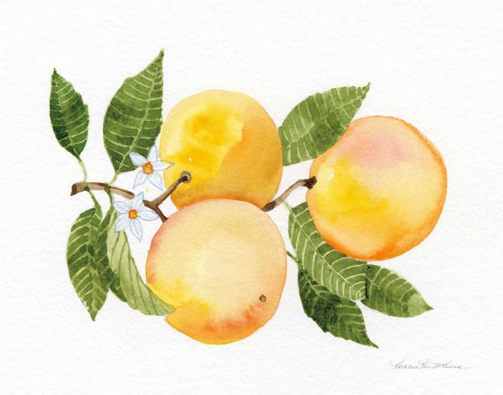 Citrus Garden III