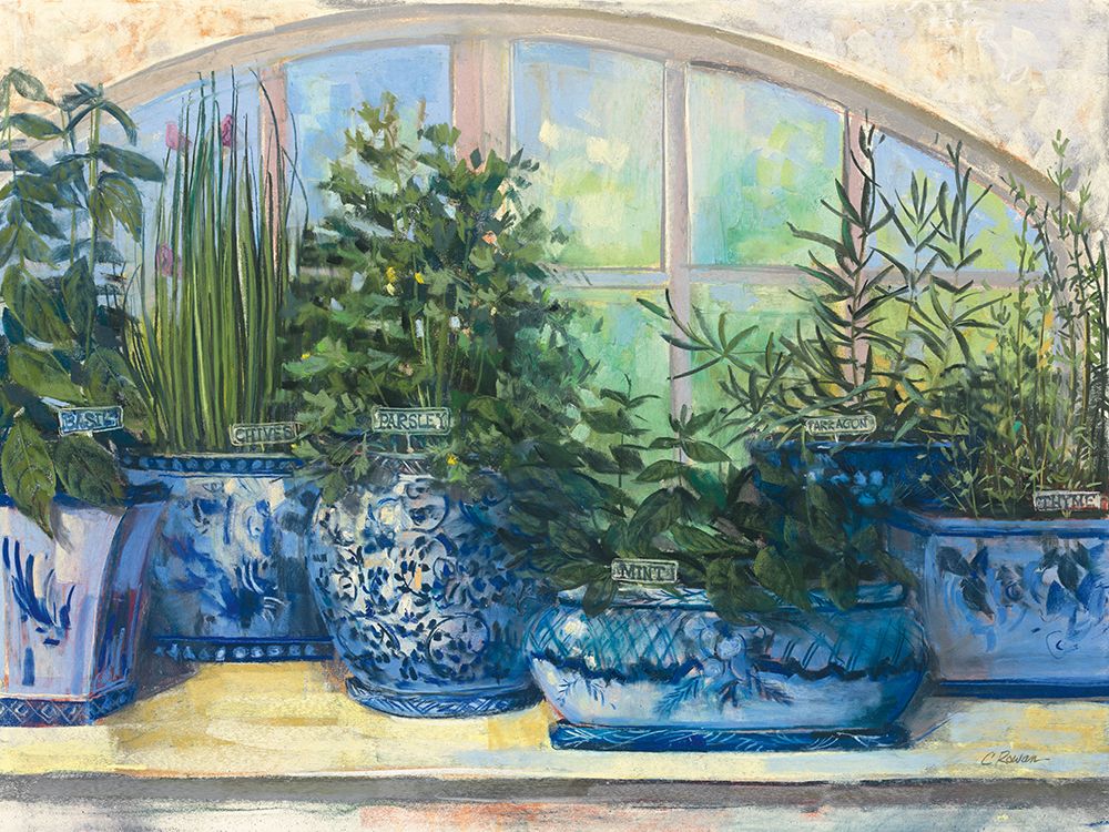 Windowsill Herbs