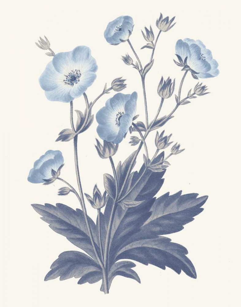 Blue Botanical VI