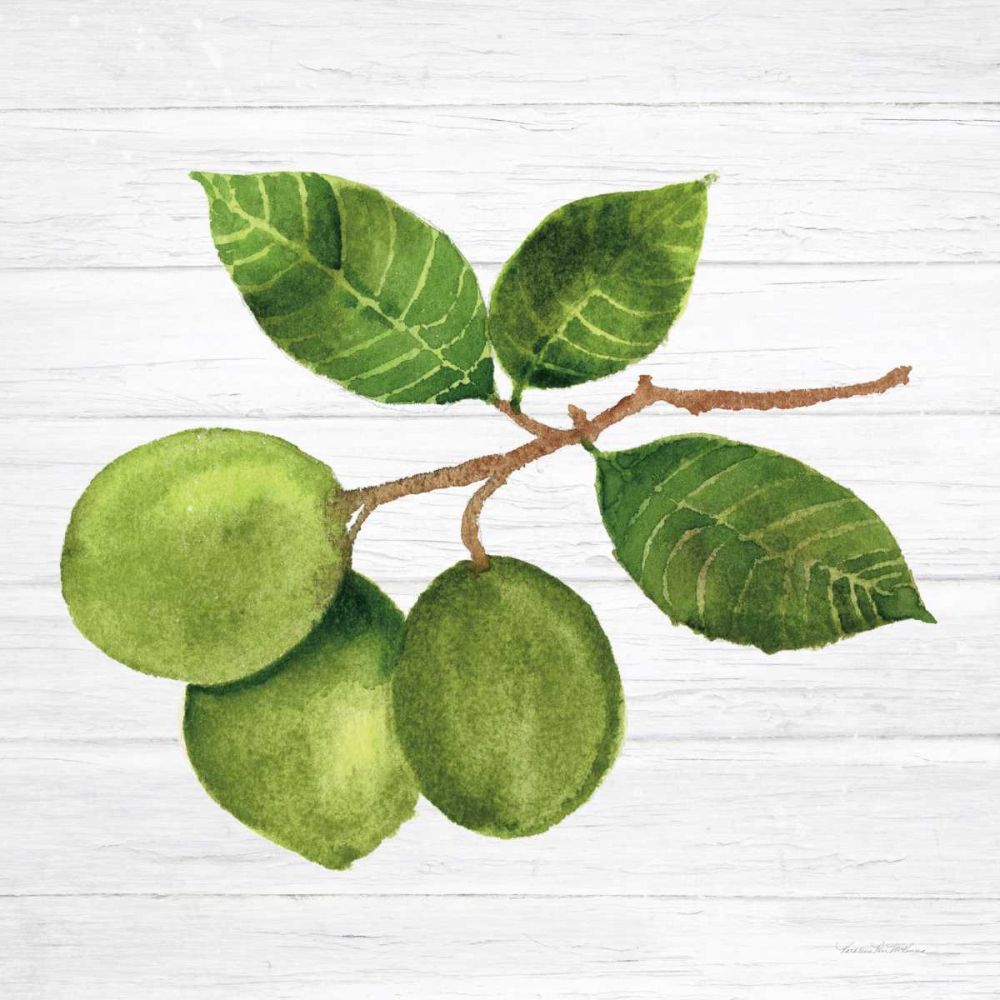 Citrus Garden II Shiplap