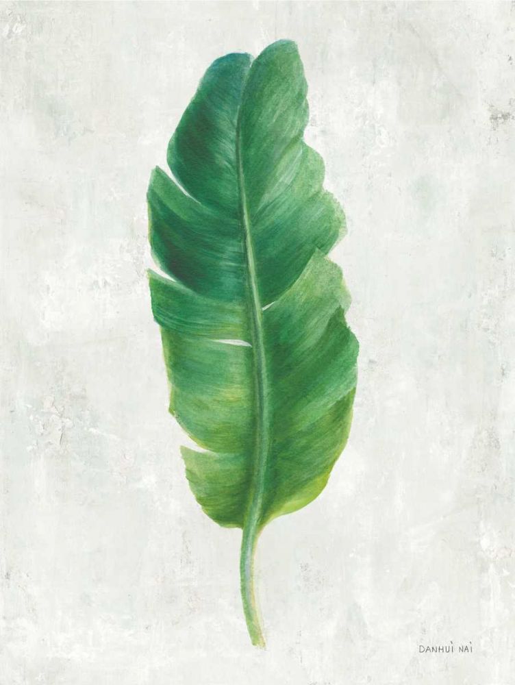 Palms of the Tropics V