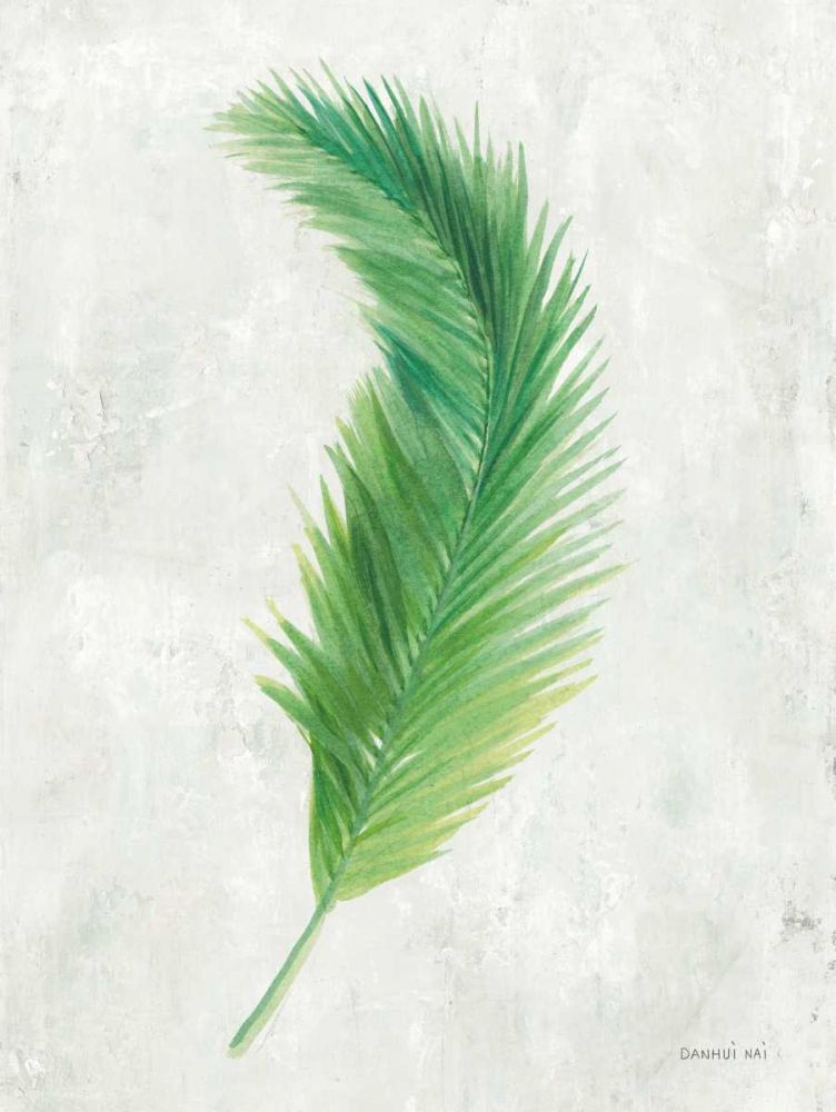 Palms of the Tropics VI