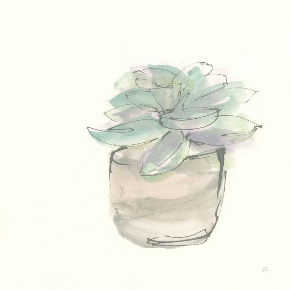 Succulent IV