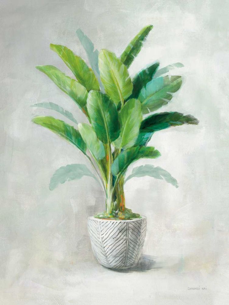 Greenhouse Palm II