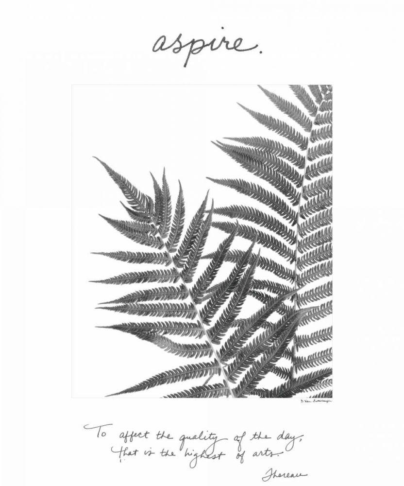 Aspire