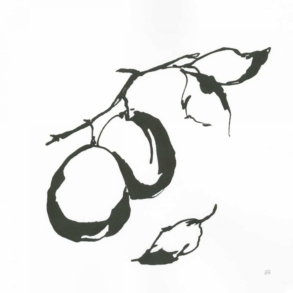 Plums I BW