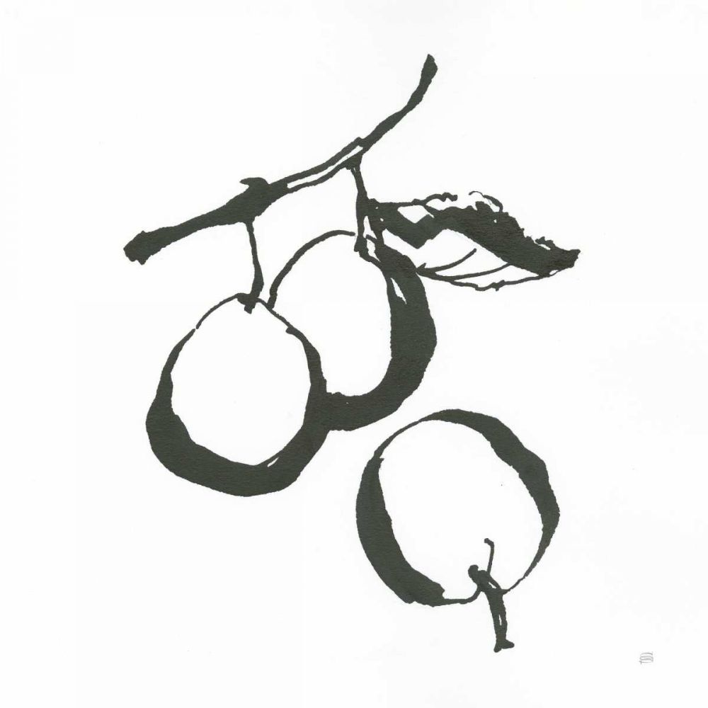 Plums II BW