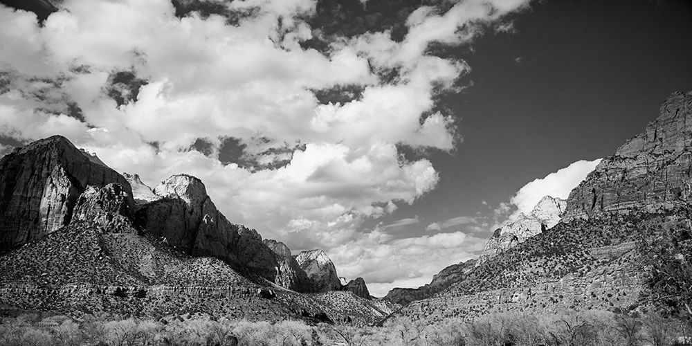 Zion Canyon II