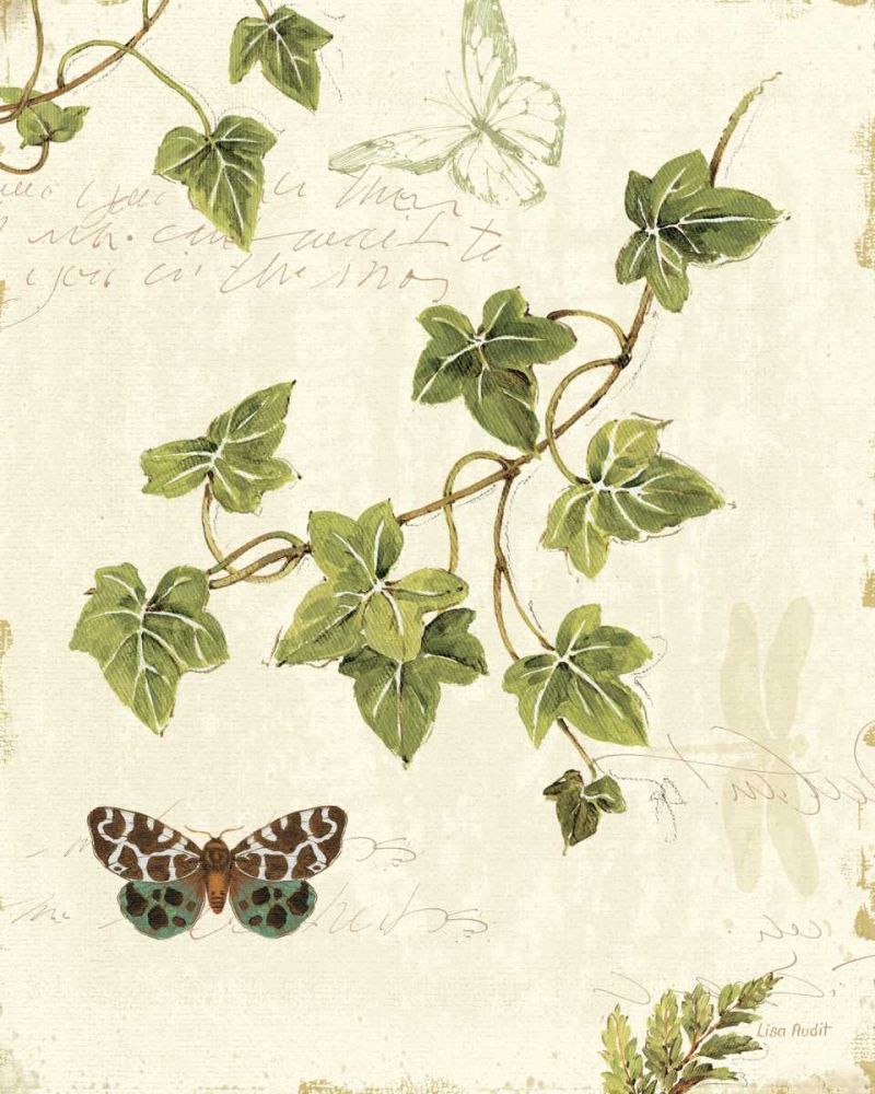 Ivies and Ferns II
