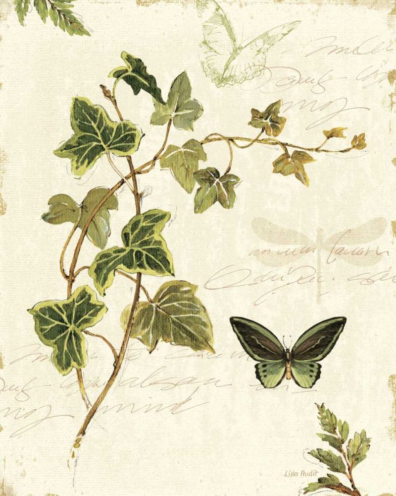 Ivies and Ferns IV