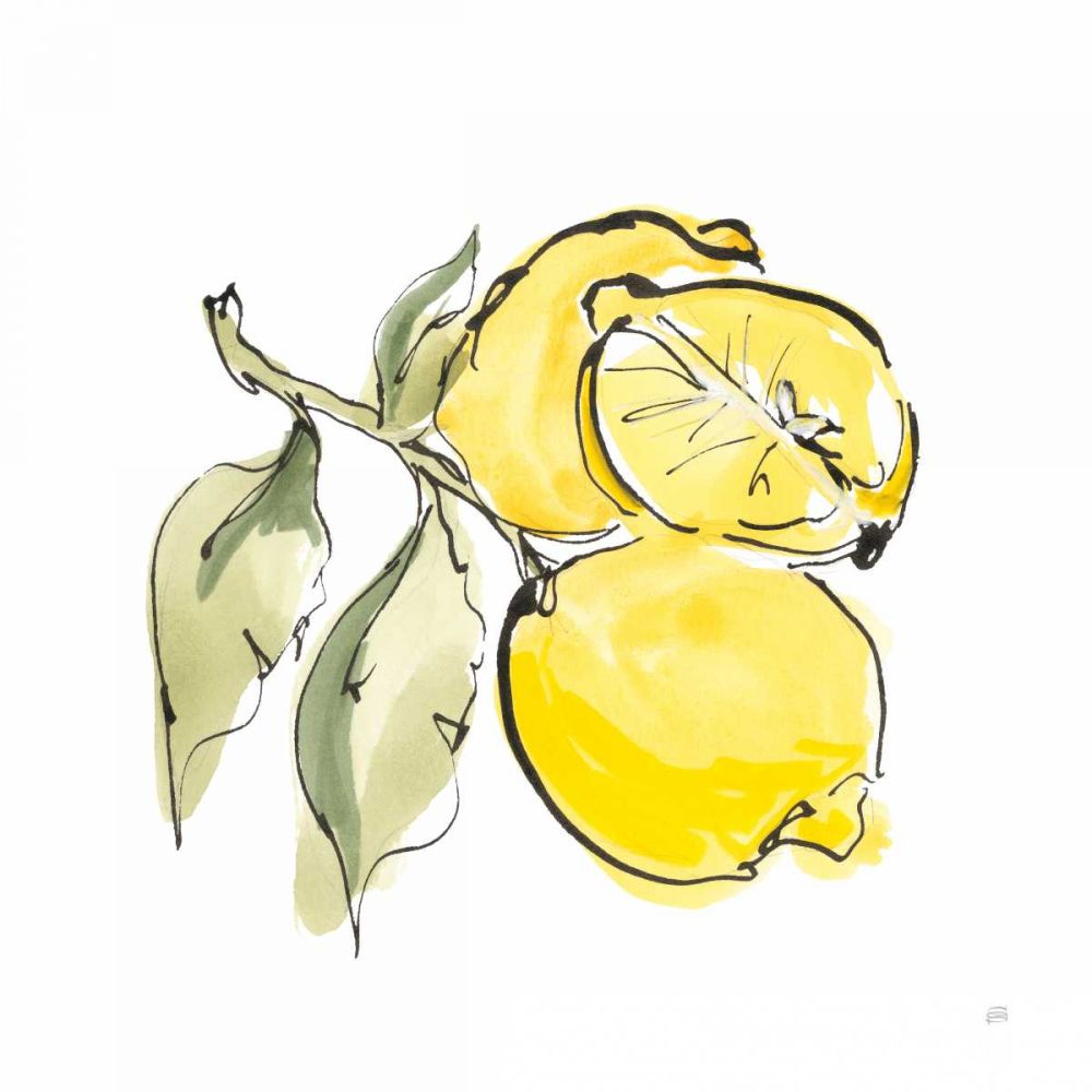 Lemon Still Life II