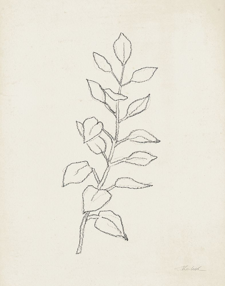 August Branch I