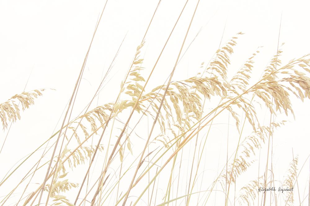 Blowing in the Wind I