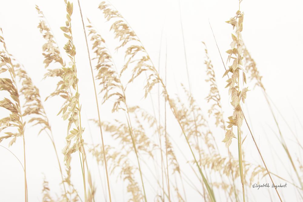 Blowing in the Wind II