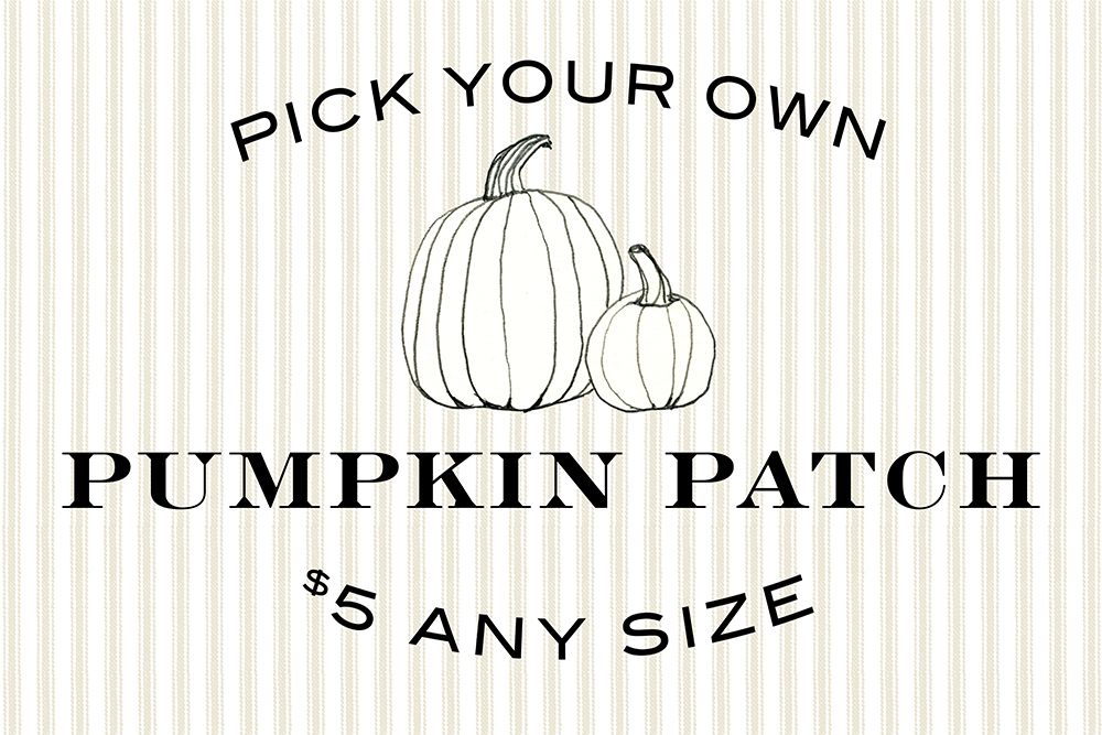 Pumpkin Patch