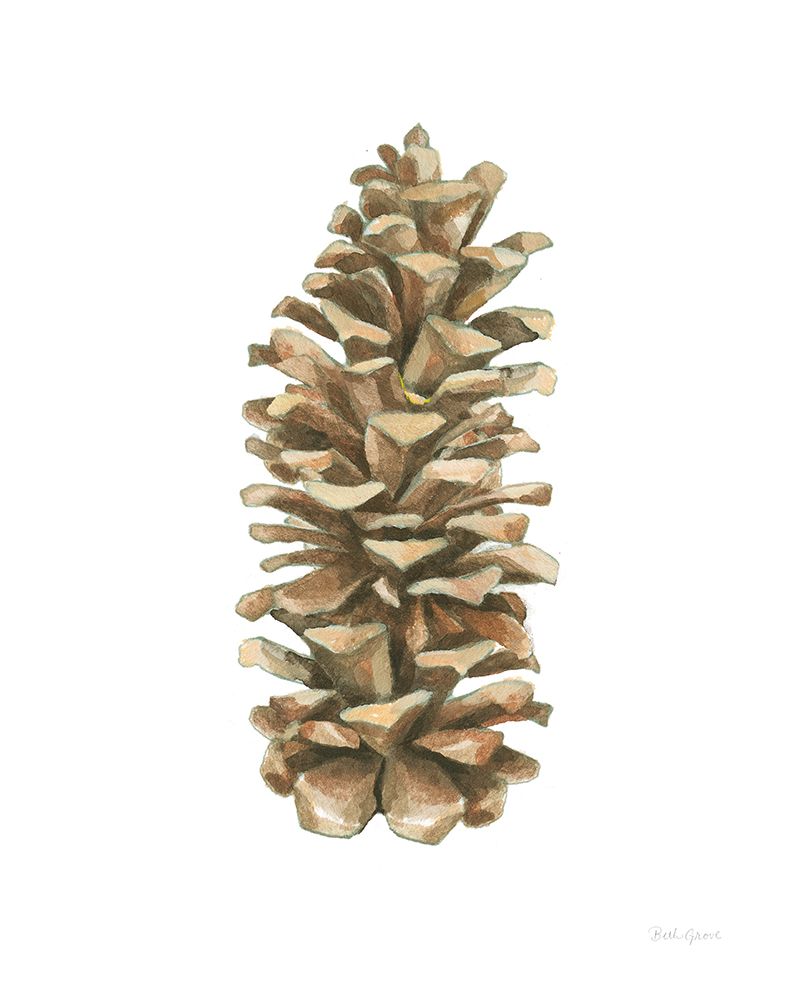 Woodland Pinecone