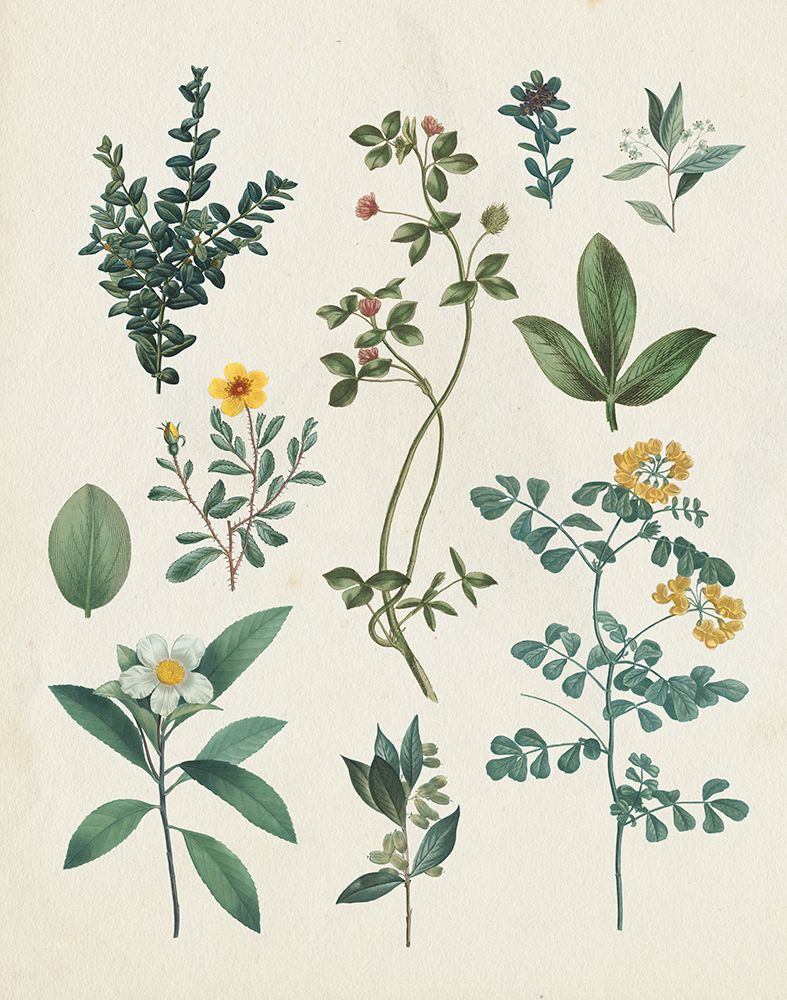 Victorian Garden V Light