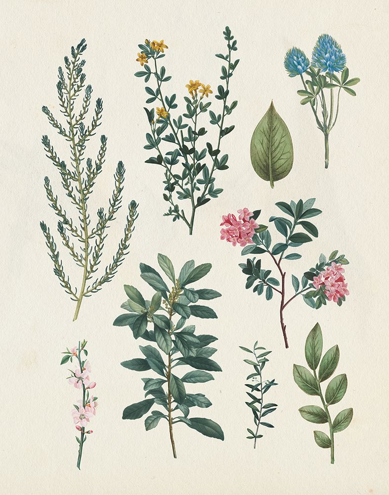 Victorian Garden VI Light