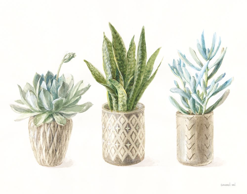 Desert Greenhouse VII