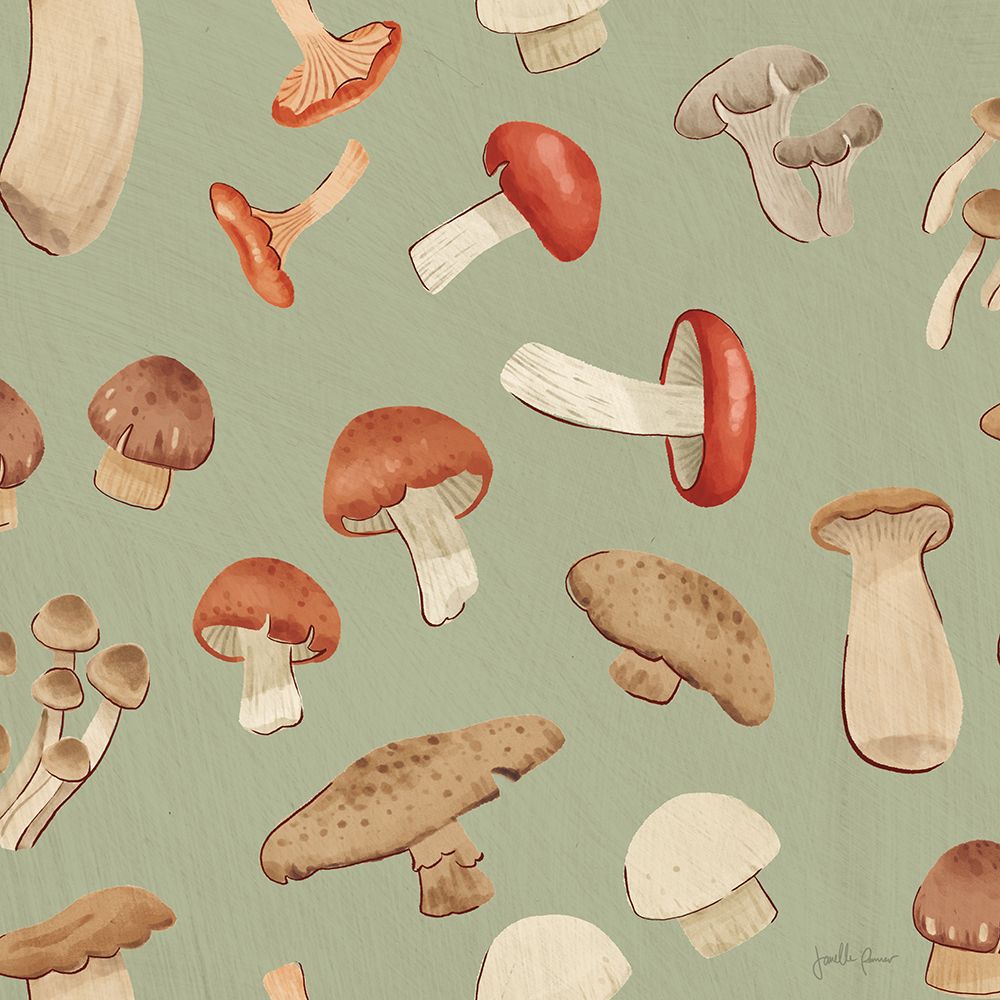 Mushroom Madness Pattern ID