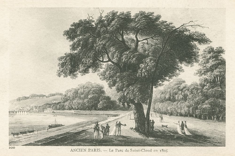 Vintage Paris Postcard II