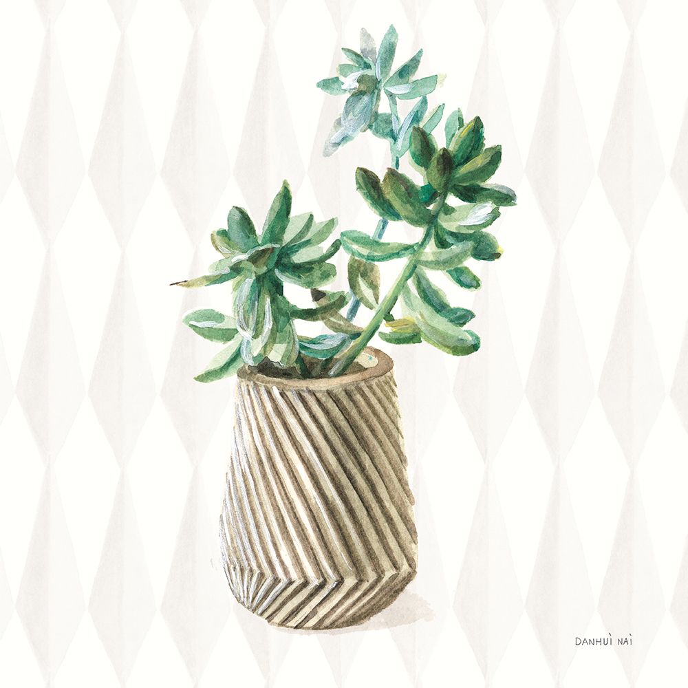 Desert Greenhouse X Sq