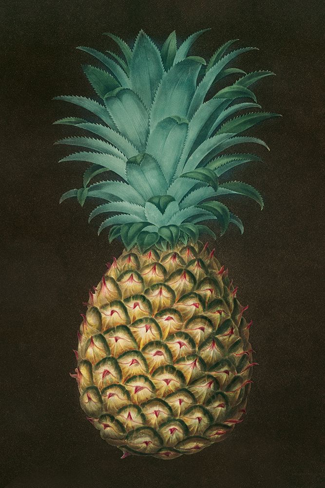 Vintage Pineapple I