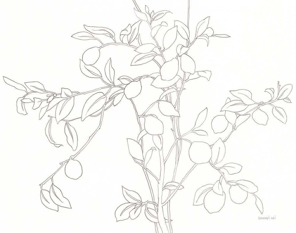 Branching Out