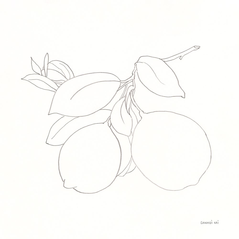 Fruitful II