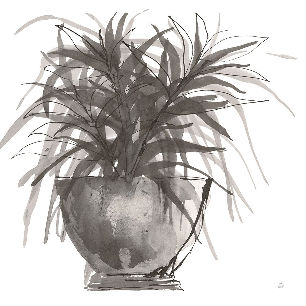 Sunroom Sketch I