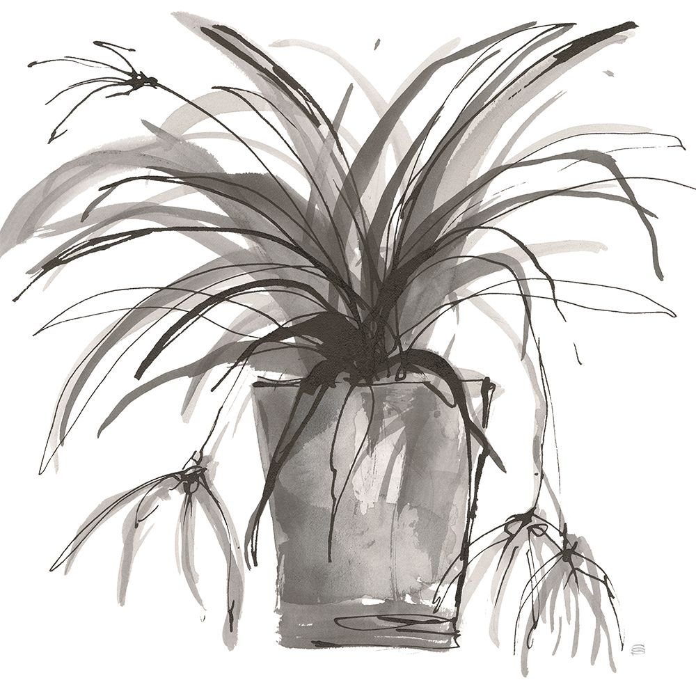 Sunroom Sketch II