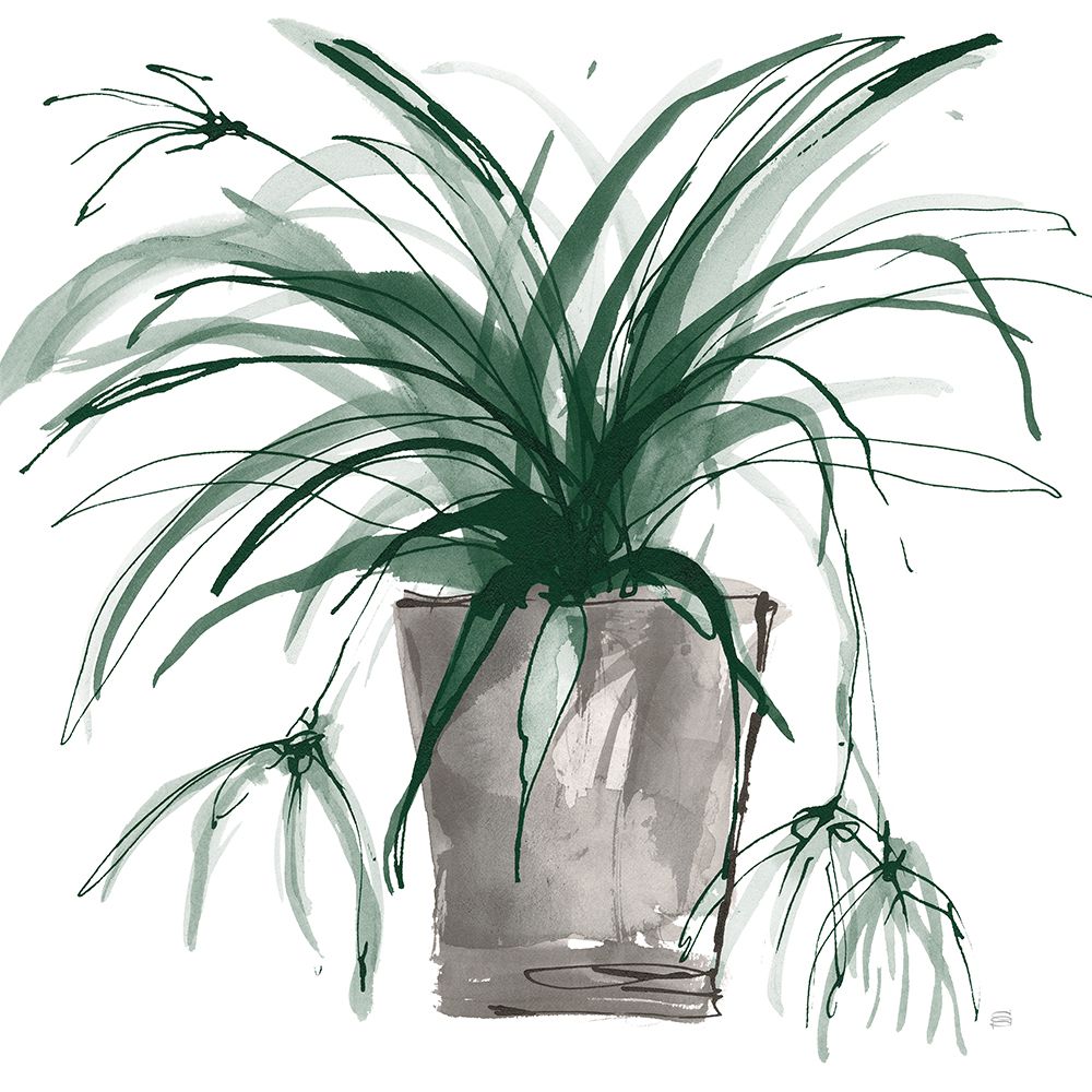 Sunroom Sketch II Green